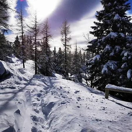 Gorenjka - Velika Planina Chalet *