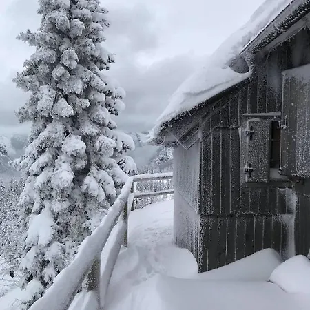 Gorenjka - Velika Planina Chalet *