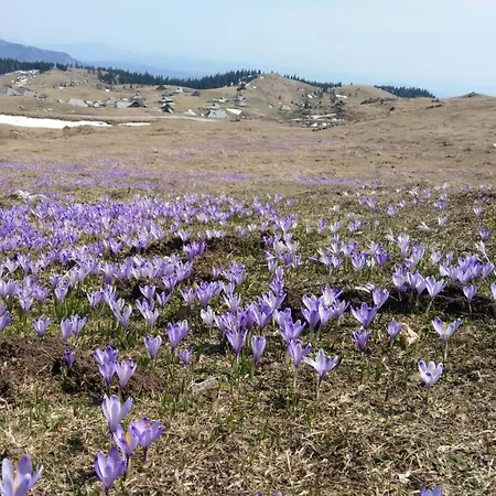 Chalé Gorenjka - Velika Planina *