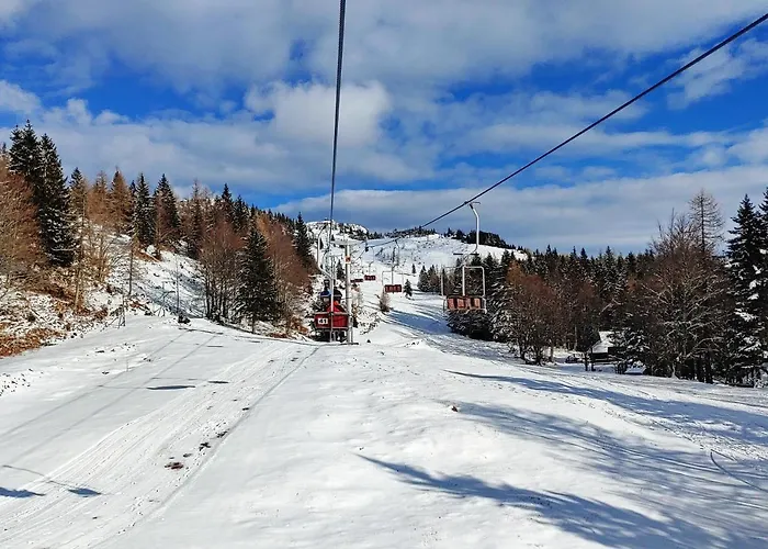 Chalet Gorenjka - Velika Planina Stahovica