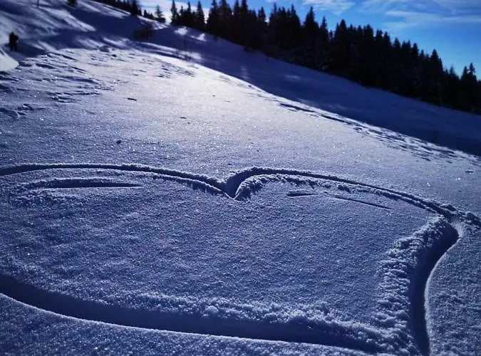 シャレー Gorenjka - Velika Planina